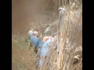 網曝不雅門事件，西安桃花潭公園兩學生情侶荒草掩護席地野戰，幹完用紙巾擦一擦