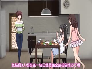 自宅警備員 第三任務 欠干爆乳人妻-翔子篇 ACMDP-1007